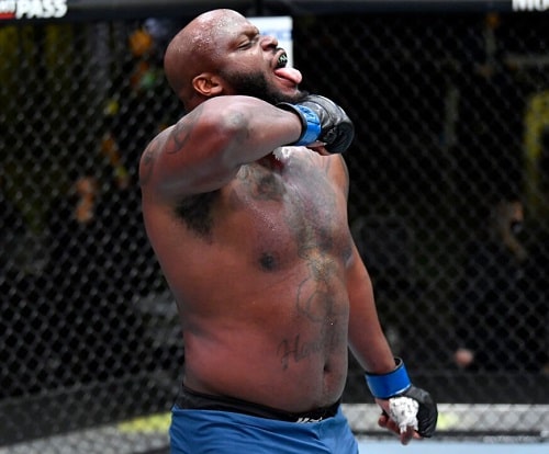 Derrick Lewis Net Worth